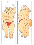 anthro asian_clothing belly butt clothing dakimakura east_asian_clothing fundoshi japanese_clothing kemono lying male moobs navel nipples overweight overweight_male red_clothing red_fundoshi red_underwear solo underwear inunoshippo canid canine canis domestic_dog mammal 2024 3:4 dakimakura_design hi_res