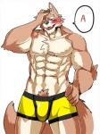 abs anthro athletic biceps biped black_nose blue_eyes blush boxer_briefs brown_body brown_fur bulge chest_tuft clothed clothing dialogue fangs fur hand_on_hip male muscular muscular_anthro open_mouth pecs pose simple_background solo speech_bubble standing tan_body tan_fur teeth text tongue topless tuft underwear white_background yellow_clothing yellow_underwear kenn canid canine canis mammal wolf 3:4 english_text