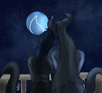 anthro aqanin_magic balcony blue_hair cuddling draako duo female grey_body grey_scales hair hi_res leaning_on_another light mis'alia moonlight nyo_la_nixan nyo_la_nixan_(character) scales sky star starry_sky stripes tail white_hair white_stripes