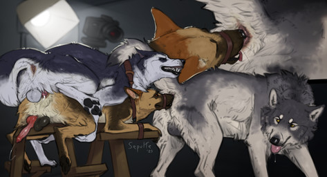 anal anal_knotting anal_penetration anatomically_correct anatomically_correct_genitalia anatomically_correct_penis animal_genitalia animal_penis anus balls bodily_fluids butt_sniffing camera canine_genitalia canine_penis cum cum_in_ass cum_inside erection feral feral_on_feral feral_penetrated feral_penetrating feral_penetrating_feral genital_fluids genitals group group_sex intraspecies knot knotted_penis knotting light male male/male male_penetrated male_penetrating male_penetrating_male nose_to_anus pawpads penetration penile penile_penetration penis penis_backwards raised_tail recording sex sniffing strapped_down tail threesome tongue tongue_out trio sepulte balto_(series) universal_studios north_shepherd steele_(balto) alaskan_malamute canid canine canis domestic_dog german_shepherd herding_dog mammal nordic_sled_dog pastoral_dog spitz wolf hi_res lighting