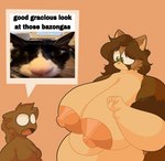 anthro big_breasts breasts duo female huge_breasts hyper hyper_breasts male male/female nipples nude obese obese_female overweight overweight_female simple_background text catboyz mika_(catboyz) domestic_cat felid feline felis mammal english_text hi_res meme