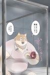 anthro black_nose bottomwear brown_body clothing detailed_background glory_hole humanoid_hands inside kemono male overweight overweight_male shirt shorts solo text topwear 00murice canid canine canis domestic_dog mammal shiba_inu spitz 2021 hi_res japanese_text translation_request