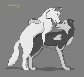 all_fours black_nose blue_eyes claws doggystyle duo female female_penetrated feral feral_on_feral feral_penetrated feral_penetrating feral_penetrating_feral from_behind_position fur male male/female male_penetrating male_penetrating_female mating_grip mounting obscured_penetration open_mouth penetration penile penile_penetration penis_in_vagina realistic_feral sex simple_background smile tongue vaginal vaginal_penetration white_body white_fur yellow_eyes wolfland canid canine canis domestic_dog husky mammal nordic_sled_dog spitz wolf 2016 digital_media_(artwork) hi_res medibang_paint_(artwork) paint.net_(artwork) watermark