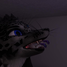 anthro blue_eyes extreme_size_difference fangs fur grey_body grey_fur in_mouth male male/male micro micro_prey open_mouth oral_vore size_difference spots spotted_face teeth tongue unwilling_prey vore whiskers randomly_649 tip(mocha) rexouium 1:1 3d_(artwork) 3d_animation animated digital_media_(artwork) no_sound short_playtime video