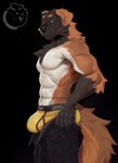 abs anthro biceps biped black_background black_bottomwear black_clothing black_eyebrows black_nose black_pants body_hair bottomwear brown_body brown_chest_hair brown_fur bulge chest_hair clothing eyebrows fingers fur half-closed_eyes logo looking_at_viewer male multicolored_body multicolored_fur narrowed_eyes navel orange_body orange_eyes orange_fur orange_tail pants pecs seductive simple_background smile solo standing tail tuft underwear white_body white_fur yellow_clothing yellow_underwear nerton norton_(nerton) canid canine canis domestic_dog mammal artist_logo digital_media_(artwork) hi_res