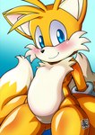 aku_tojyo anthro avoid_posting blue_eyes blush canid canine dipstick_tail featureless_crotch fox gradient_background hi_res humanoid looking_at_viewer male mammal markings miles_prower sega simple_background solo sonic_the_hedgehog_(series) tail tail_markings