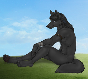 4_toes accessory anthro arm_tuft armband athletic athletic_anthro athletic_male black_body black_claws black_fur black_hair black_nose black_pawpads blue_eyes blue_sky butt casual_nudity claws cloud day elbow_tuft feather_in_hair feet finger_claws fingerpads fingers fur grass hair hair_accessory hindpaw humanoid_hands inner_ear_fluff iris loose_feather male male_anthro medium_hair monotone_body monotone_fur monotone_hair mouth_closed nude nude_anthro nude_male outdoor_nudity outside pawpads paws plant pupils side_view sitting sky snout solo tail tasteful_nudity toe_claws toes tuft skyler-ragnarok skyler_(skyler-ragnarok) canid canine canis mammal wolf 2024 full-length_portrait portrait