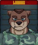 anthro blue_eyes brown_body echo_project fur hair humanoid limbus_company looking_at_viewer low_res lying male mammal military_clothing mr._bronson muscular muscular_male mustelid on_front otter portrait project_moon racingtime244 solo toothpick white_body white_fur