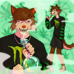 anthro belt blunt_in_mouth bodily_fluids bong bottomwear braces brown_body brown_fur brown_hair chain chain_necklace clothing drugs eyewear fangs fur glasses green_background hair incel jewelry loser male marijuana marijuana_blunt match necklace nerd one_eye_closed open_mouth orthodontic_elastics shirt shorts simple_background smoke smoking smoking_marijuana solo standing stoned substance_intoxication sweat sweatdrop tan_body tan_fur teeth topwear wearing_glasses mrbarx canid canine mammal 1:1 hi_res