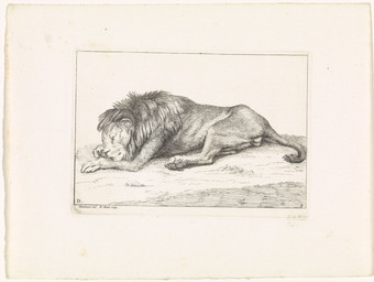 backsack balls digitigrade eyes_closed feral genitals lying lying_on_ground male male_feral mane on_ground pawpads paws quadruped resting side_view solo tail whiskers bernard_picart public_domain felid lion mammal pantherine 1729 18th_century absurd_res ancient_art hatching_(art) hi_res monochrome shaded signature traditional_media_(artwork)