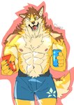 abs anthro brown_body brown_fur canned_drink chest_tuft clothing fur male muscular muscular_anthro muscular_male nipples pecs shirtless solo tuft underwear roarwolf lifewonders live_a_hero barrel_(live_a_hero) canid canine canis mammal wolf hi_res