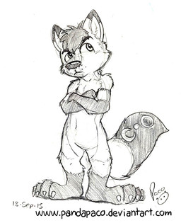 anthro crossed_arms featureless_crotch gloves_(marking) grumpy leg_markings logo male markings mouth_closed navel nude simple_background socks_(marking) solo standing tail tail_markings young young_anthro young_male pandapaco canid canine mammal 2015 artist_logo dated monochrome signature sketch