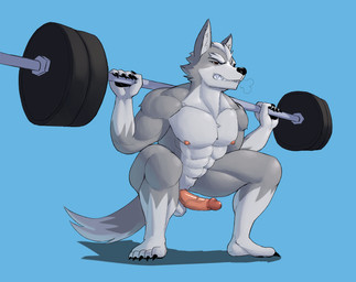 5_fingers abs anthro balls barbell barbell_squats biceps blue_background breath circumcised circumcision_scar claws countershading crouching dipstick_tail erection exercise feet fingers fur genital_scar genitals glans gloves_(marking) humanoid_genitalia humanoid_penis leg_markings male markings multicolored_body multicolored_fur multicolored_tail muscular muscular_anthro muscular_male nipples nude nude_workout penis scar simple_background socks_(marking) solo squats tail tail_markings teeth toe_claws toes two_tone_body two_tone_fur vein veiny_penis weightlifting weights workout jrjresq nintendo star_fox wolf_o'donnell canid canine canis mammal wolf hi_res