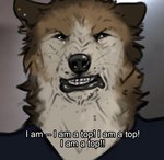 anthro bodily_fluids brown_body brown_fur clothing crying dialogue ear_piercing fur humor in_denial looking_at_viewer male piercing shirt solo tan_body tan_fur tears teeth text topwear whiskers sepulte abc i_am_a_surgeon the_good_doctor reyes_(sepulte) canid canine canis mammal wolf english_text meme reaction_image