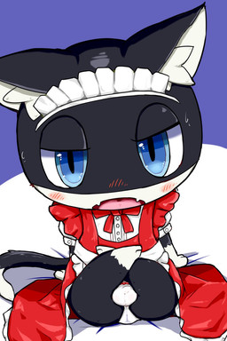 anthro balls_bulge black_body black_fur blue_eyes blush bulge clothed clothing crossdressing crossdressing_male embarrassed fur legs_up looking_at_viewer maid_uniform male markings mask panties solo tail tail_markings underwear uniform white_body white_fur mysidia_rabbit_(artist) persona_(series) persona_5 morgana_(persona) domestic_cat felid feline felis mammal tuxedo_cat 2:3 hi_res