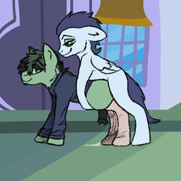 anal anal_penetration anatomically_correct anatomically_correct_genitalia animal_genitalia bodily_fluids canterlot clothing cum cum_on_ground cum_while_penetrated doggystyle duo ears_back equine_genitalia feral feral_on_feral from_behind_position genital_fluids genitals green_body heart_eyes heart_symbol hoodie legwear male male/male narrowed_eyes penetration pivoted_ears public public_sex sex simple_animation sweatshirt thrusting topwear white_body wings loamload friendship_is_magic hasbro my_little_pony mythology fan_character soarin_(mlp) wonderbolts_(mlp) equid equine horse mammal mythological_creature mythological_equine pegasus pony 2d_animation animated