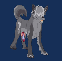 all_fours anatomically_correct anatomically_correct_genitalia animal_genitalia animal_penis balls bangs_over_eyes canine_genitalia canine_penis countershade_torso countershading detailed_penis ear_piercing erection feral fur gauged_ear genitals grey_body grey_fur knot knotted_penis male messy_linework open_mouth penis piercing plug_(jewelry) solo standing vein veiny_penis whiskers dtptr igor_(dtptr) canid canine canis domestic_dog mammal 2026 alpha_channel digital_media_(artwork) hi_res ibispaint_(artwork)