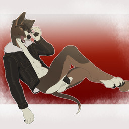 4_toes 5_fingers anthro athletic athletic_anthro athletic_male balls birthmark black_nose black_penis bottomless bottomless_anthro bottomless_male brown_body brown_fur brown_hair butt circumcised claws clothed clothing eyewear fangs feet fingers flaccid fur genitals glans hair jacket leather leather_clothing leather_jacket leather_topwear licking licking_lips looking_at_viewer male male_anthro markings multicolored_body multicolored_fur muscular muscular_anthro muscular_male navel nude partially_clothed_anthro partially_clothed_male pawpads pecs penis pointy_ears pompadour solo sunglasses teeth toes tongue tongue_out topwear yellow_eyes bambii_dog howard_wright bull_terrier canid canine canis domestic_dog hunting_dog mammal terrier 1:1 digital_drawing_(artwork) digital_media_(artwork) hi_res