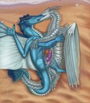 anal anal_penetration animal_genitalia anus black_horn blue_anus blue_body blue_scales dorsal_frill duo erection feral frill_(anatomy) genital_slit genitals grey_horn horn knot male male/male membrane_(anatomy) membranous_wings penetration penile penile_penetration penis penis_in_ass pink_knot pink_penis purple_knot purple_penis scales white_body white_scales wings zikeny mythology kalzrocrynth madloc aquatic_dragon dragon marine mythological_creature mythological_scalie scalie hi_res
