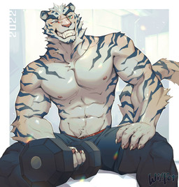 5_fingers abs anthro areola biped black_bottomwear black_clothing bottomwear claws clothed clothing dumbbell exercise finger_claws fingers fur green_eyes grin hand_on_leg looking_at_viewer male muscular muscular_anthro muscular_male navel nipples pecs smile solo striped_body striped_fur stripes topless weightlifting weights workout wizper_baobao felid mammal pantherine tiger 2022 hi_res
