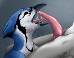 ambiguous_gender animal_genitalia animal_penis anthro anthro_on_anthro beak beak_fetish beak_play beak_sex beakjob bodily_fluids cetacean_genitalia cetacean_penis cum cum_in_mouth cum_inside cum_on_face duo ejaculation erection fellatio genital_fluids genital_slit genitals interspecies male male/ambiguous oral orgasm penile penis sex tapering_penis the13thblackcat avian bird blue_jay bottlenose_dolphin cetacean corvid dolphin jay_(bird) mammal marine new_world_jay oceanic_dolphin oscine passerine toothed_whale