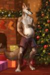 4_toes 5_fingers anthro bulge christmas_lights christmas_tree clothing digitigrade feet fingers fireplace gift holidays legwear male ornament plant pregnant pregnant_anthro pregnant_male smile solo standing stockings toes tree underwear warm akineza christmas canid canine canis coyote mammal 2019 2:3 digital_media_(artwork)