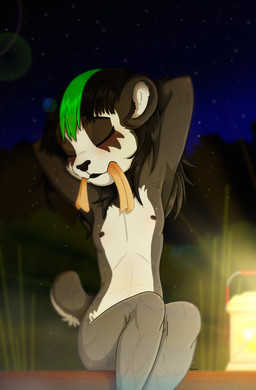 bamboo bamboo_tree black_body black_fur black_hair blush breasts countershading detailed_background eyes_closed female flat_chested fur hair lamp lantern light multicolored_body multicolored_fur nature nature_background night nipples nude outside plant sitting small_breasts solo star tree wet white_body white_fur young young_female piporete zoshu_hesui_(destruteka) bear giant_panda mammal absurd_res hi_res