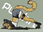 anthro bent_over black_clothing bottomwear clothing female footwear fur gloves handwear pants shoes solo tail tired yellow_body yellow_fur rizal_ok mihoyo zenless_zone_zero pulchra_fellini 4:3 hi_res