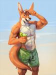 abs anthro athletic athletic_male beach beverage biceps blue_eyes clothed clothing detailed_background eyewear food fruit green_clothing green_swimming_trunks green_swimwear lime male muscular muscular_male open_mouth outside pecs plant sand seaside solo standing sunglasses swimming_trunks swimwear tail thick_tail topless water solaxe_(artist) solaxe kangaroo macropod mammal marsupial 2017 3:4