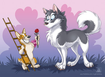 bedroom_eyes black_nose blue_eyes box_of_chocolates candy chocolate dessert duo female feral flower food fur grey_body grey_fur grin holding_flower holding_object inner_ear_fluff ladder male male/female multicolored_body multicolored_fur narrowed_eyes orange_body orange_fur outside plant rose_(flower) seductive semi-anthro short_tail size_difference smile tail text tuft whiskers conditional_dnp tani_da_real canid canine canis domestic_dog herding_dog husky mammal nordic_sled_dog pastoral_dog spitz welsh_corgi 2025 hi_res url