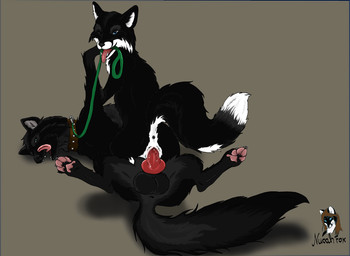 4_toes animal_genitalia animal_penis anthro anthro_on_feral anus balls belt bestiality black_body black_fur canine_genitalia canine_penis claws cowgirl_position digitigrade dipstick_tail duo erection feet female female_on_feral female_on_top female_penetrated feral feral_on_feral from_front_position fur genitals hindpaw interspecies knot lying male male/female male_on_bottom male_penetrating male_penetrating_female markings nude on_back on_bottom on_top pawpads paws penetration penile penile_penetration penis penis_in_vagina sex simple_background soles spread_legs spreading straddling tail tail_markings toes tongue vaginal vaginal_penetration vulva nucahfox nucahfox_(character) sy'ros canid canine canis fox mammal wolf