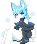 ambiguous_gender anthro black_bottomwear black_clothing black_crop_top black_jacket black_nose black_shirt black_shorts black_topwear blue_body blue_eyes blue_fur blue_hair blush blush_lines bottomwear claws clothed clothing crop_top finger_claws fingers fur hair inner_ear_fluff jacket kemono looking_at_viewer midriff multicolored_body multicolored_fur navel oversized_clothing oversized_jacket oversized_topwear paws pupils shadow shirt shorts simple_background sitting solo tail thick_thighs three-quarter_view topwear tuft white_background white_body white_fur shirom canid canine fox mammal 2023 cel_shading digital_media_(artwork) hi_res portrait shaded three-quarter_portrait