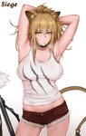 big_breasts blonde_hair bottomwear breasts clothing collar female hair hand_behind_head hotpants looking_at_viewer midriff object_in_mouth scratch_print shirt shorts simple_background solo tank_top topwear wet wet_clothing white_background yellow_eyes laserflip arknights hypergryph studio_montagne siege_(arknights) animal_humanoid felid felid_humanoid humanoid lion_humanoid mammal mammal_humanoid pantherine pantherine_humanoid 2019 hi_res