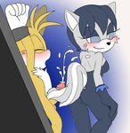 2018 5_fingers age_difference angelofhapiness anthro arctic_fox biped blue_hair blush bodysuit canid canine canon_x_oc clothing dominant dominant_female duo ejaculation eyes_closed fan_character female fingers fox fur genitals gloves hair handwear male male/female mammal miles_prower older_female open_mouth penis restrained sega sex simple_background skinsuit sonic_the_hedgehog_(series) submissive submissive_male tail tail_around_penis tail_fetish tail_play tail_sex tailjob thick_thighs tickling tickling_genitalia tickling_penis tight_clothing true_fox unitard white_eyes yellow_body yellow_fur younger_male