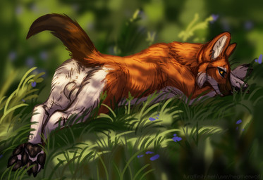 balls black_claws black_nose black_pawpads brown_markings brown_tail claws feral fur genitals grass looking_at_viewer lying male male_feral markings mouth_closed on_front orange_body orange_fur orange_tail pawpads plant presenting_balls solo tail text whiskers white_balls white_body white_fur yellow_eyes heatherwolf canid canine mammal url
