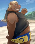 anthro beach belly blush brown_body brown_fur butt clothing fur humanoid_hands kemono male outside overweight overweight_anthro overweight_male seaside shirt solo swimwear topwear water train_(artist) mammal suid suina sus_(pig) wild_boar 2014