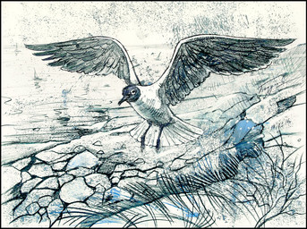 ambiguous_feral ambiguous_gender beak black_head feathered_wings feathers feral flying grass outside plant rock russia russian_federation sea sevastopol solo tail tail_feathers vehicle water watercraft white_body wings yacht badusev real_world avian bird gull lari larid 2016 chalk_(artwork) dated english_description formal_art graphite_(artwork) monochrome russian_description signature sketch traditional_media_(artwork)
