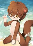 anthro beach bottomwear brown_body brown_fur brown_hair clothed clothing eyewear eyewear_only flaccid foreskin fur genitals gesture glasses glasses_only hair looking_at_viewer male nude open_clothing open_shirt open_topwear pawpads penis sand sea seaside shirt shorts sitting smile smiling_at_viewer solo topwear water waving waving_at_viewer wearing_glasses young young_anthro yupa bear mammal 2023 character_request