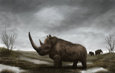 big_horn brown_body brown_fur dead_tree feral fur grass group horn huge_horn plant proboscis_(anatomy) short_fur snow solo_focus tree trio trunk_(anatomy) tundra tusks mihin89 elephantid mammal mammoth prehistoric_species proboscidean rhinoceros woolly_mammoth woolly_rhinoceros 2015
