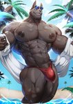 abs anthro beach big_pecs black_nipples blue_eyes bodily_fluids bulge clothing eyewear low-angle_view male mostly_nude muscular muscular_anthro muscular_male nipples pecs seaside solo speedo sunglasses sweat swimwear thick_thighs vein veiny_arms veiny_muscles magangz league_of_legends riot_games tencent nasus_(lol) anubian_jackal canid canine canis jackal mammal hi_res