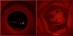 after_vore anal anal_penetration anal_vore anthro anthro_pred bodily_fluids group hair head_in_anus inside inside_anus inside_throat internal male male/male male_penetrated male_penetrating male_penetrating_male multiple_angles multiple_inside nude open_mouth oral_vore partially_inside penetration sex size_difference smile swallowing teeth trio vore skarrfox_(artist) blender_cycles armus dix_(dragonixplayz) superbass african_wild_dog asinus canid canine domestic_cat donkey equid equine felid feline felis mammal 2:1 3d_(artwork) absurd_res blender_(artwork) comic digital_media_(artwork) hi_res