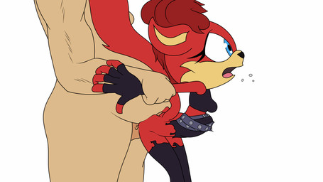 abdominal_bulge anthro anthro_penetrated arm_grab arm_pull belt blue_eyes bottomless breasts butt clothed clothed/nude clothing duo erection faceless_character faceless_human faceless_male female female_on_human female_penetrated fingerless_gloves from_behind_position genitals gloves handwear huge_penetration human_on_anthro human_penetrating human_penetrating_anthro interspecies larger_human larger_male male male/female male_on_anthro male_penetrating male_penetrating_female nude penetration penile penile_penetration penis prison_guard_position red_body restrained_arms sex side_view simple_background size_difference smaller_anthro smaller_female smaller_penetrated standing standing_sex torn_clothing white_background claydust archie_comics sega sonic_the_hedgehog_(archie) sonic_the_hedgehog_(comics) sonic_the_hedgehog_(series) fiona_fox canid canine fox human mammal red_fox true_fox 16:9 animated hi_res widescreen