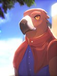 anthro blurred_background brown_body brown_feathers cape clothing feathers jacket male mature_male resting_bitch_face solo topwear yellow_eyes adamphoebe conditional_dnp dungeons_and_dragons hasbro wizards_of_the_coast principal_atoradon aarakocra_(dnd) accipitrid accipitriform avian bird eagle golden_eagle true_eagle 3:4 hi_res portrait