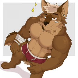 abs anthro areola arm_wraps barazoku bedroom_eyes biceps biped briefs briefs_only brown_body brown_eyes brown_fur bulge clothed clothing ear_piercing ear_ring eyebrows feet fingers fur gauged_ear half-closed_eyes high-angle_view humanoid_feet humanoid_hands looking_at_viewer male midriff muscular muscular_anthro muscular_male narrowed_eyes navel nipples pantsless_anthro pantsless_male pecs piercing plantigrade raised_eyebrow ring_piercing seductive shadow smile smug solo sparkles standing tail toes topless topless_anthro topless_male underwear underwear_only wraps bezzeroo canid canine canis mammal wolf 1:1 2025 colored hi_res shaded