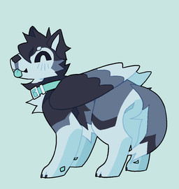 black_body black_fur blep collar dancing feral fur green_collar green_pawpads grey_body grey_fur happy pawpads simple_background solo tail tail_motion tailwag tongue tongue_out white_body white_fur wings vinqock canid canine canis domestic_dog husky mammal nordic_sled_dog spitz 2025 2d_animation animated