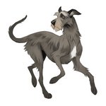 ambiguous_gender black_nose feral fur grey_body grey_fur simple_background smile solo white_background jeniak canid canine canis domestic_dog hunting_dog irish_wolfhound mammal sighthound 1:1 2020 digital_media_(artwork)