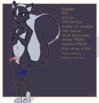 anthro balls biped clothed clothing erection fluffy fluffy_tail genitals humanoid_genitalia humanoid_penis male male_anthro partially_clothed penis solo standing stated_adult stated_age tail text underwear underwear_down conditional_dnp dacad powder_(dacad) mammal mephitid skunk 2023 english_text hi_res model_sheet