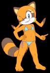 anthro bikini breasts camel_toe clothed clothing female flat_chested simple_background smile solo swimwear two-piece_swimsuit young young_anthro jenokamui sega sonic_the_hedgehog_(series) marine_the_raccoon mammal procyonid raccoon 2018 alpha_channel