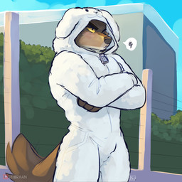 anthro blush blush_lines bulge clothed clothing costume countershading day furry_wearing_fursuit fursuit kigurumi male male_anthro onesie outside solo tail tail_motion tailwag zipper seibear dreamworks the_bad_guys mr._wolf_(the_bad_guys) canid canine canis mammal wolf 1:1 2022 alternate_version_at_source digital_media_(artwork) hi_res