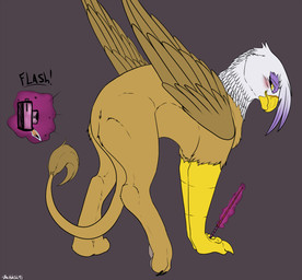 beak blush brown_body brown_feathers butt camera feathered_wings feathers female feral purple_body purple_feathers rear_view simple_background solo tail wand white_body white_feathers wings backlash91 conditional_dnp friendship_is_magic hasbro my_little_pony mythology gilda_(mlp) avian bird felid gryphon lion mammal mythological_avian mythological_creature pantherine digital_media_(artwork)